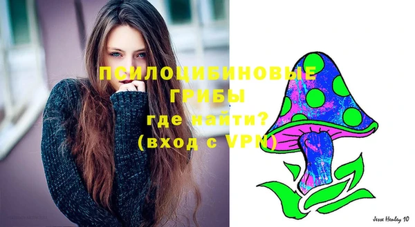 спайс Абаза